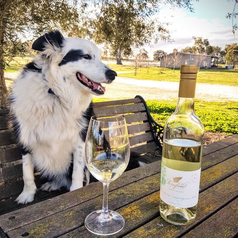 Bandit with Sauvignon Blanc