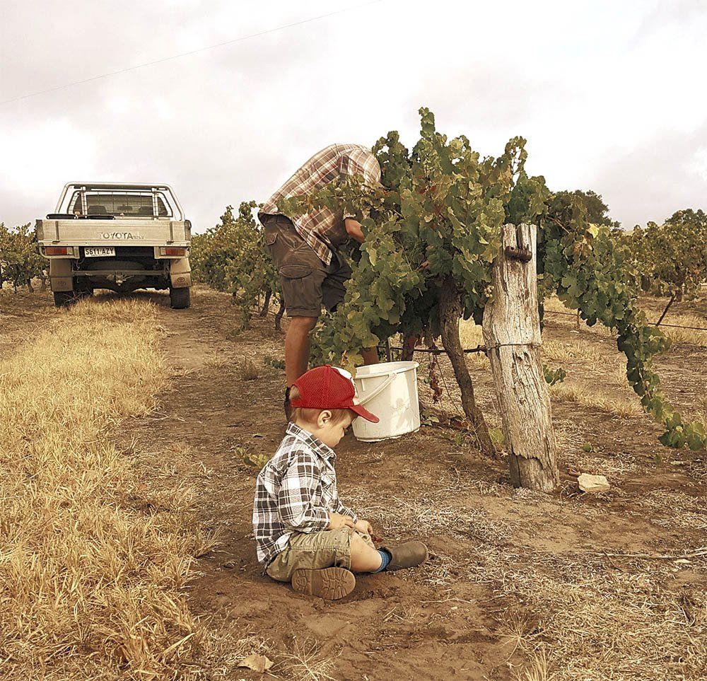 Family operated winery