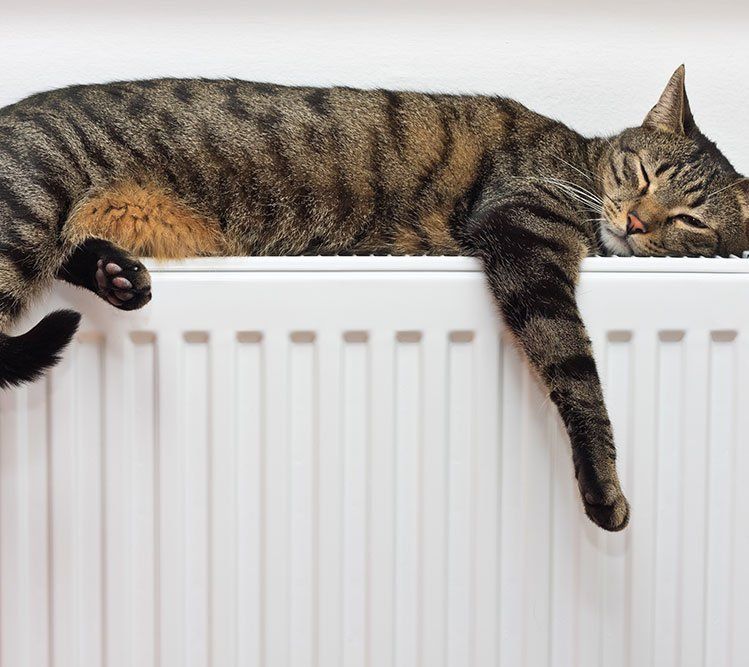 Gas & Heating