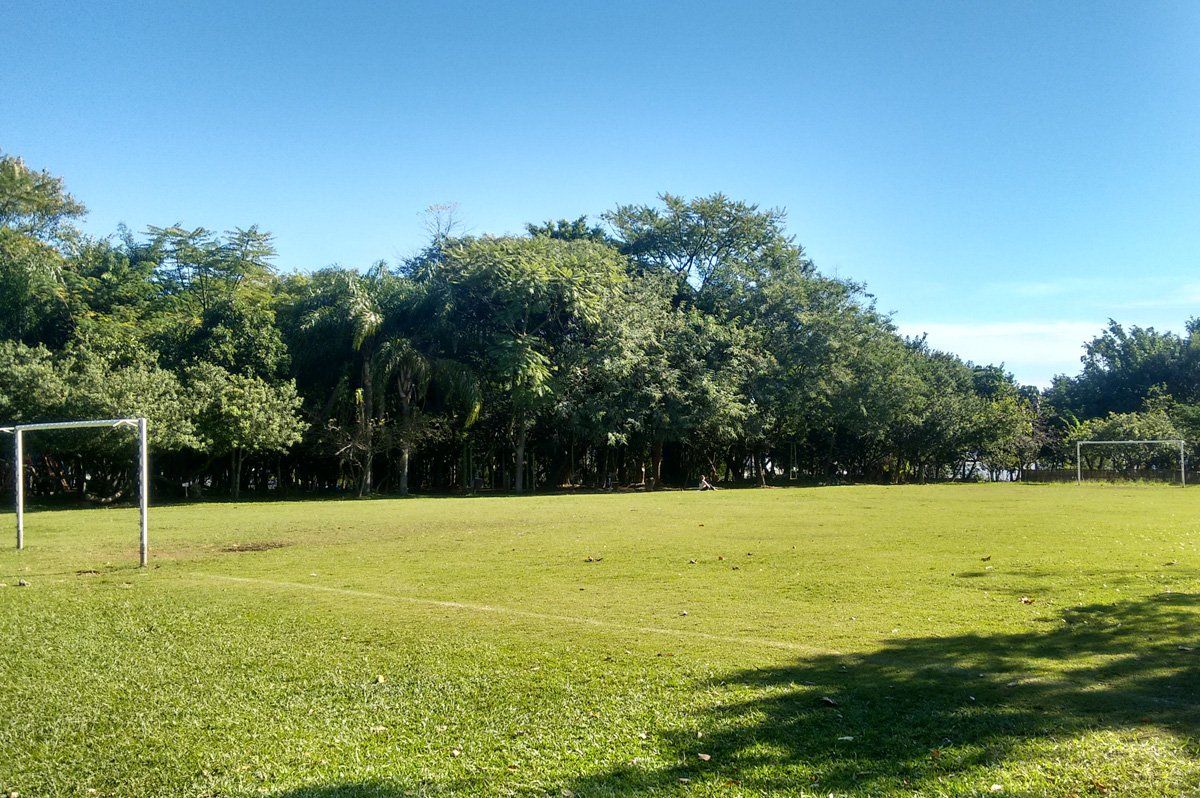 Campo gramado ensolarado com um gol de futebol à esquerda e árvores ao fundo.