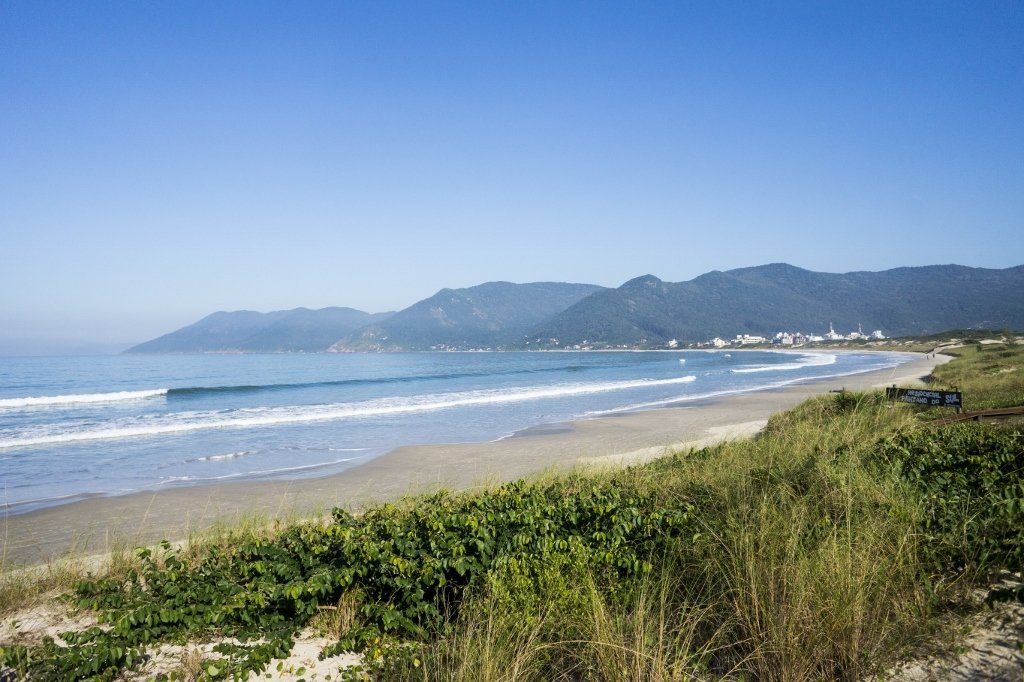 Praia ensolarada com ondas, dunas gramadas e uma costa arborizada ao longe, sob um céu azul límpido.