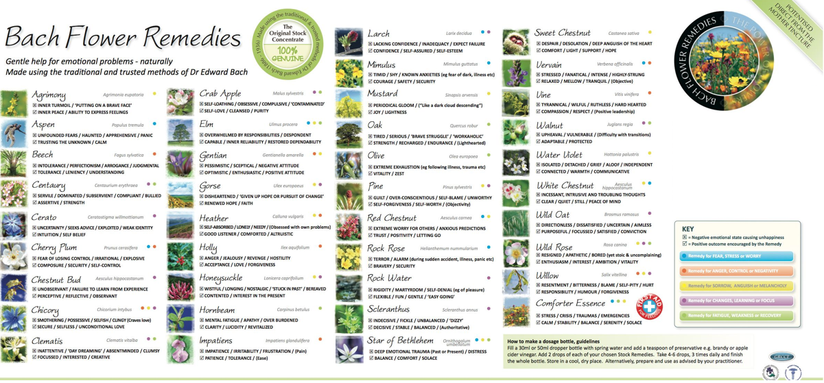 a list of bach flower remedies is displayed on a white background .