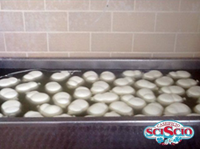 Freshly made mozzarella