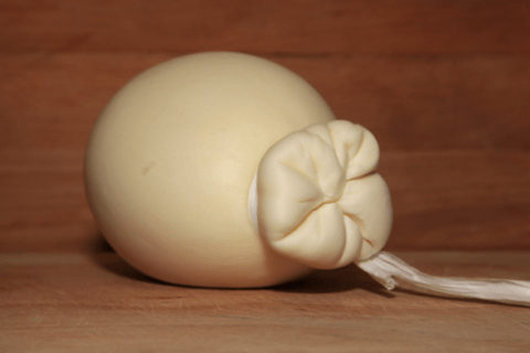 Caciotta