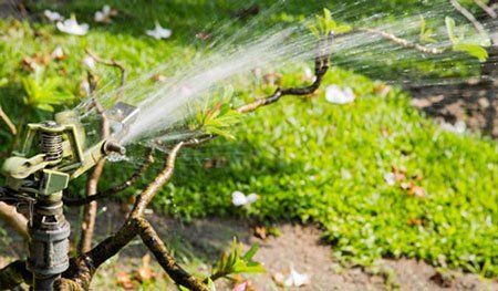 Sprinkler Systems — Pikes Peak Irrigation in Colorado Springs CO, USA Sprinkler Systems — Pikes Peak Irrigation in Colorado Springs CO, USA