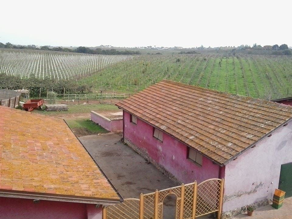 Stalle dei cavalli