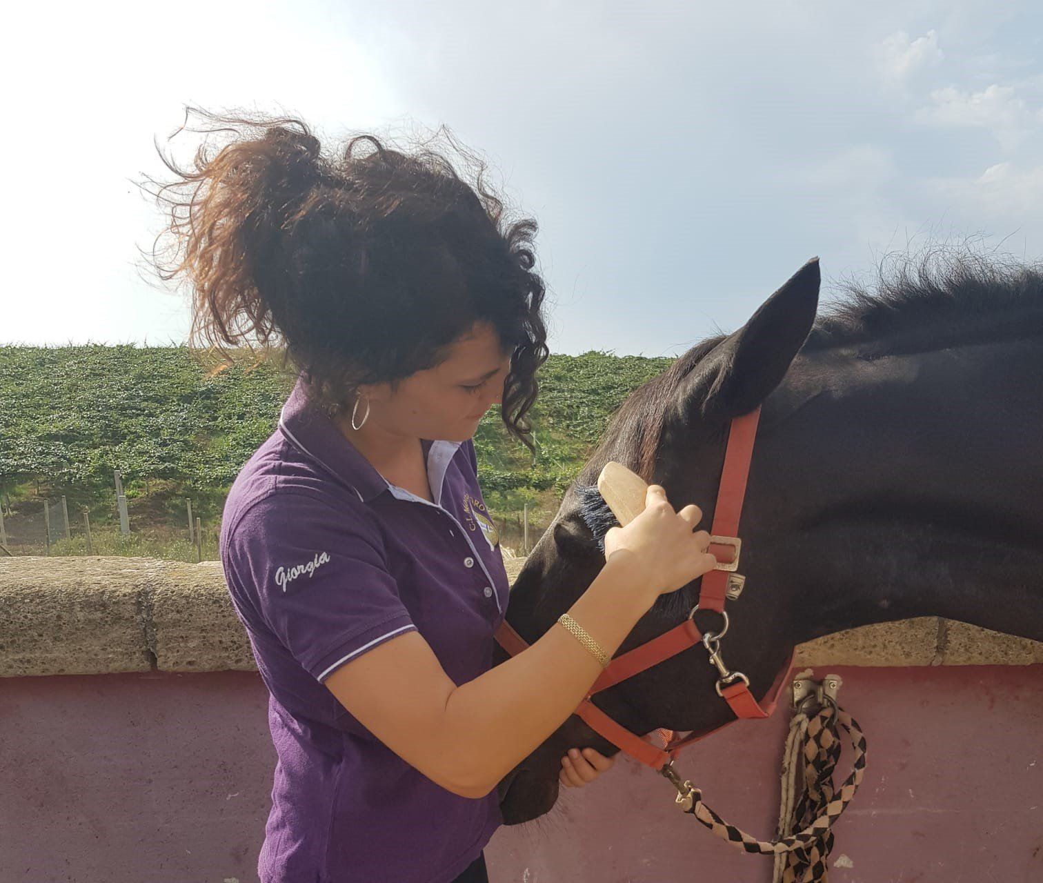 Cura del cavallo