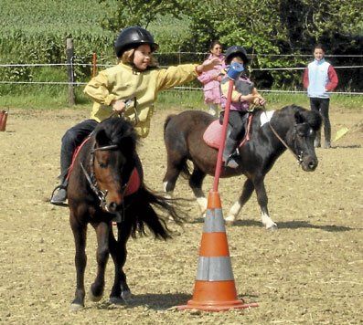Pony