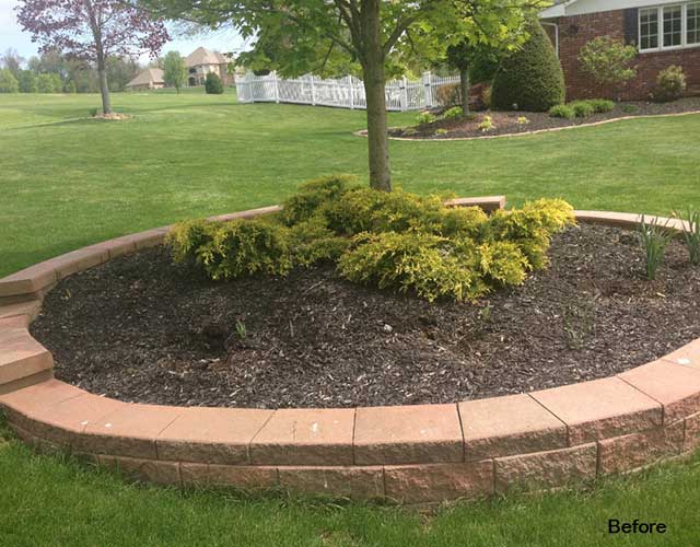 Before Tree Landscaping - Tree Service in Irwin, PA