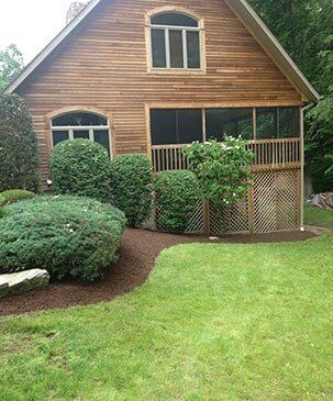 Modern House - Tree Service in Irwin, PA