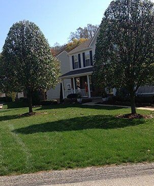 Beautiful Tree Landscape - Tree Service in Irwin, PA