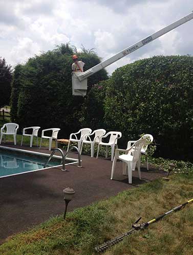 Swimming Pool - Tree Service in Irwin, PA