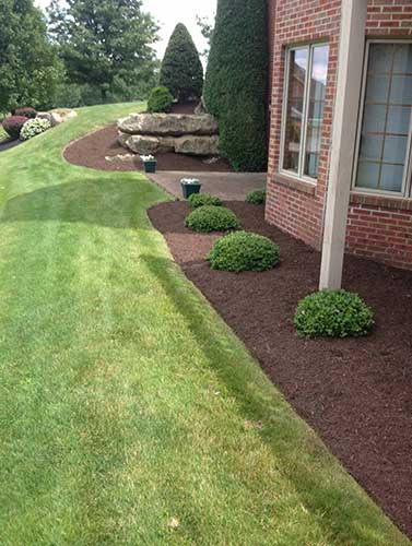 Landscape Service - Tree Service in Irwin, PA