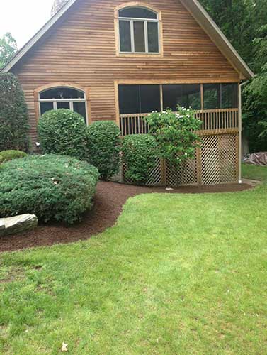 Modern House - Tree Service in Irwin, PA