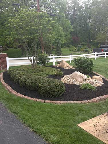 Tree Trimming - Tree Service in Irwin, PA