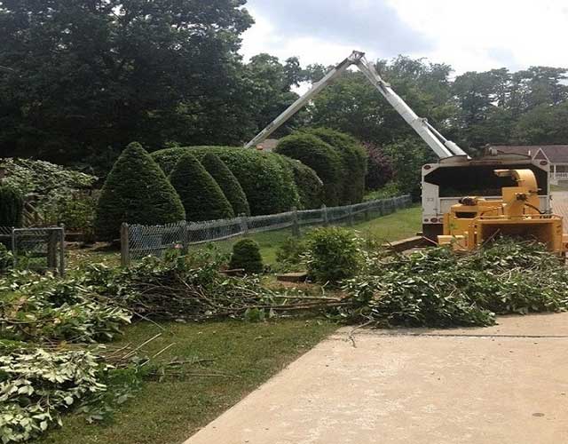 Tree Trimming - Tree Service in Irwin, PA