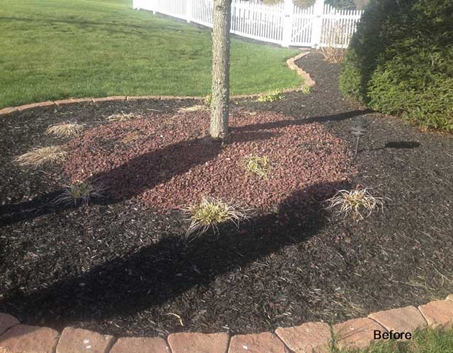 Home Landscape - Tree Service in Irwin, PA