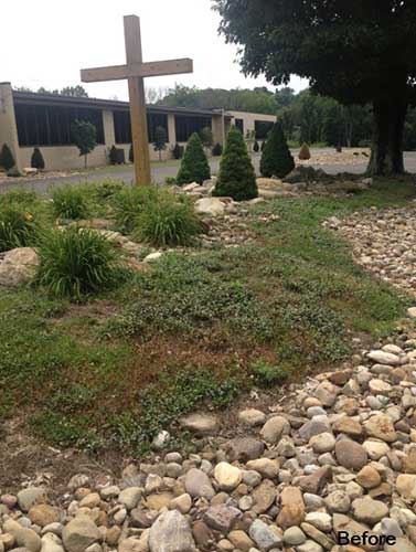 Before Landscape - Tree Service in Irwin, PA