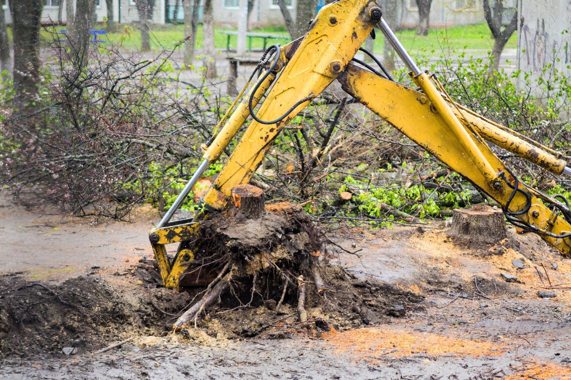 A yellow excavator is removing a tree stump from the ground.