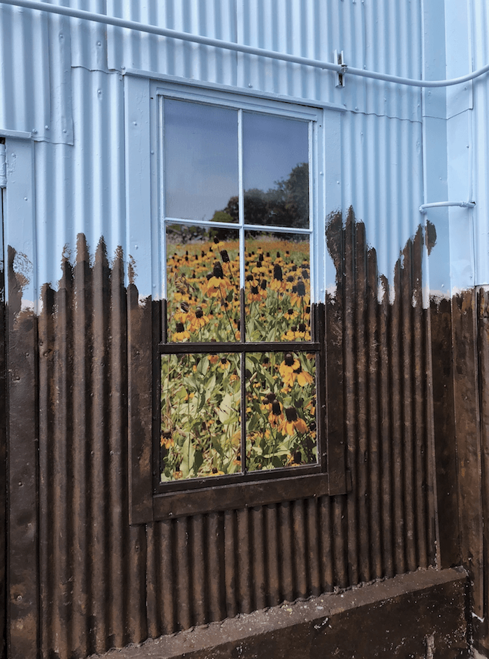A window with a picture of a field of sunflowers in it.