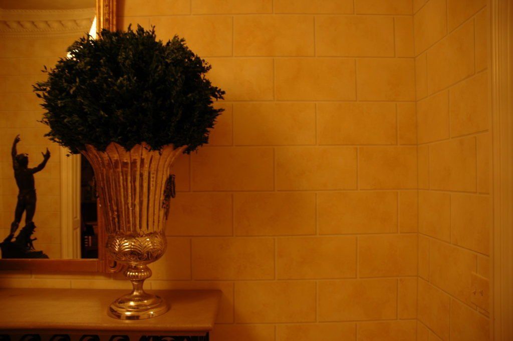 A vase with a plant in it is sitting on a table in front of a mirror.