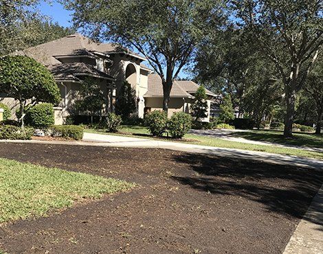 House exterior with newly laid mulch in the yard, lush trees, and a sunny day.