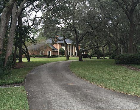 Long driveway leading to a brick home with white columns, trees, and green lawn.