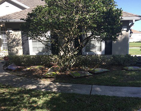 House with tree, shrubbery, and stone accents in front yard.