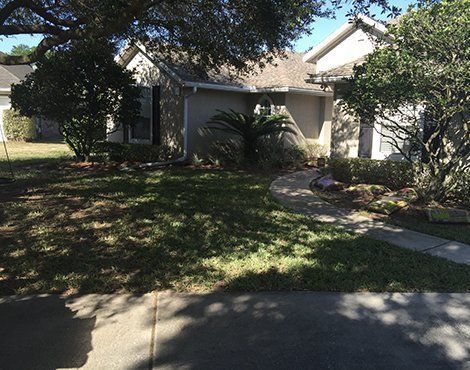 A house with a yard, sidewalk, and trees on a sunny day.