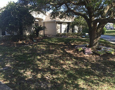 House exterior with lawn, shaded by a large tree, stone accents.