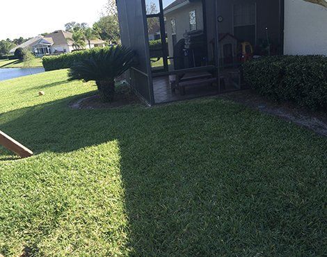 Lush green lawn with a screened patio, adjacent to a body of water and trimmed bushes on a sunny day.