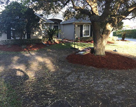 Front yard with brown mulch around trees and shrubs in front of a gray house.