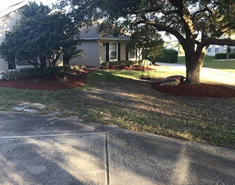 A house with a yard featuring trees, shrubs, and brown mulch around the plantings; a sidewalk is in the foreground.