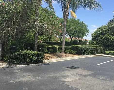 Landscaped area with trimmed hedges, trees, and blue sky; seen from a paved parking lot.