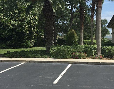 Parking lot with greenery and palm trees in background.