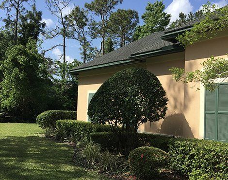 A house with a dark roof and beige walls, with manicured hedges and trees under a blue sky.
