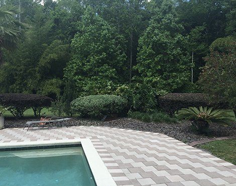 Backyard with pool, patio, and lush landscaping featuring trees and bushes.