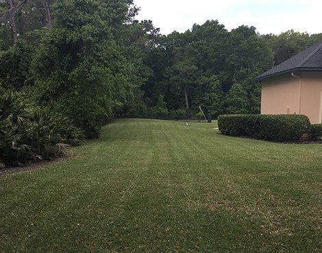 Lawn with trimmed green grass, trees, and a tan-colored house exterior.