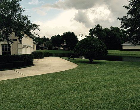 Curving driveway of a home with green lawn, trimmed bushes, and trees under a cloudy sky.