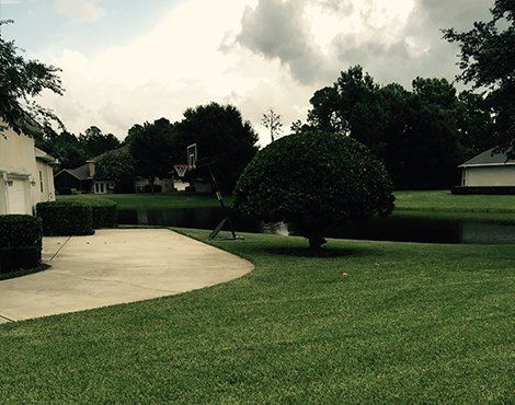 Lush green lawn with a curved driveway, a round tree, and a basketball hoop near a pond under a cloudy sky.