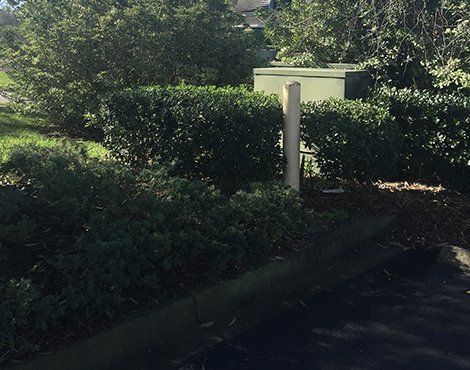Green bushes surround a utility box and post next to a black curb.