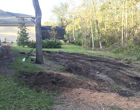 A backyard with prepared garden beds, a tree, and a house. Soil is visible.