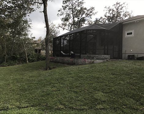 Grassy backyard with a screened porch, surrounded by trees and a house with light-colored siding.