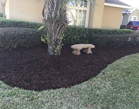Mulched garden bed with palm tree, small stone bench, and manicured green lawn.