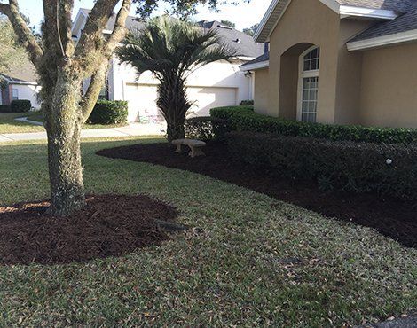 Well-manicured lawn with mulch beds, house, and trees.