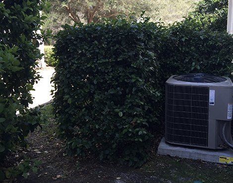 Air conditioning unit next to a dark green hedge.