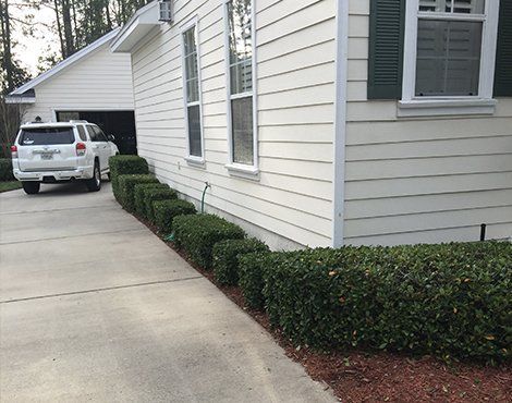 White house with a line of trimmed green bushes along the concrete driveway. A white SUV is parked in the garage.