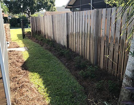 A wooden fence borders a green grassy strip with small shrubs and brown mulch.