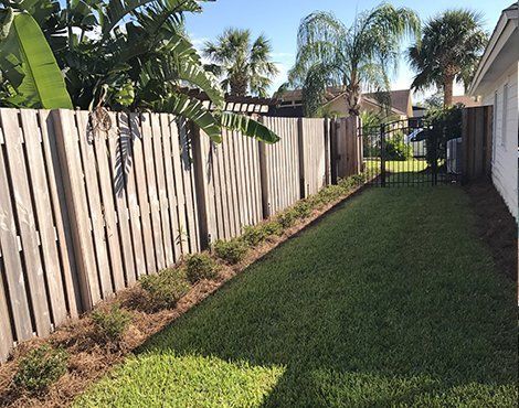 Wooden fence bordering a well-manicured lawn with small shrubs. Palm trees in the background.