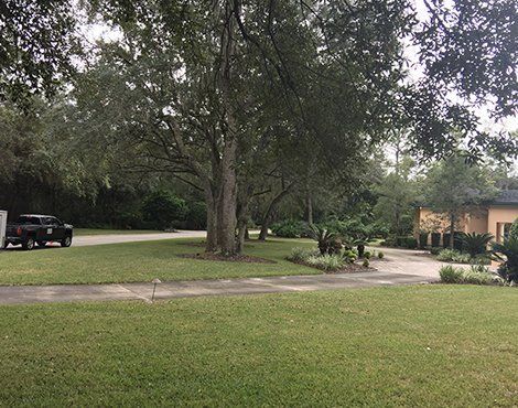 Lush green lawn with trees, driveway, and a tan house in a residential area. A black truck is parked on the left.